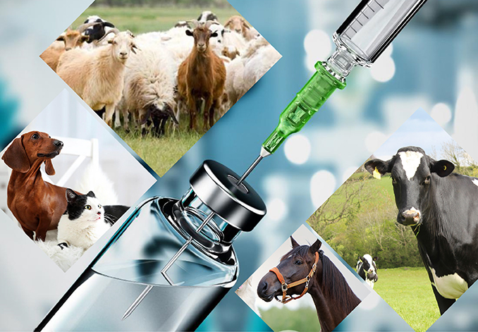 Top Veterinary Medicine Companies in India | Iskon Remedies