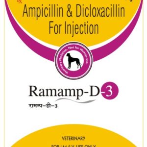 Ampicillin & Dicloxacillin 3000mg