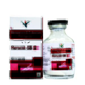 MEROPENEM & SULBACTAM 1500mg